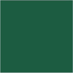 Duni servetten Oriental Green 3-laags 33x33