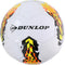 Dunlop Voetbal, maat 5