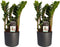 Duo 2 x Zamio Zenzi met Elho B.for soft antracite