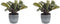 Duo Ctenanthe Amagris in keramiek – ↨ 20cm – ⌀ 14cm