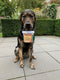 DUO DOG | Duo Dog Snacks - Honden snack