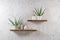 Duraline XL4 Eiken Fineer Met Schors met FSC Keurmerk 38mm 60x23,5cm