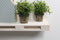 Duraline XL4 Pallet White Wash met FSC Keurmerk 46mm 80x23,5cm 6pp