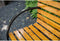 Dutcc 41142 - Tuinbank - Woodstock - 120 cm – zwart