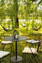 Dutch Decor COOPER - Sierkussen 40x40 cm Olive Branch - groen - Inclusief binnenkussen