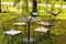 Dutch Decor COOPER - Sierkussen 40x40 cm Olive Branch - groen - Inclusief binnenkussen