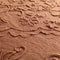 Dutch Decor EVY - Kussenhoes van katoen Muted Clay 40x60 cm - roze - met rits - zonder binnenkussen