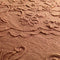 Dutch Decor EVY - Sierkussen van katoen Muted Clay 40x60 cm - roze - Inclusief binnenkussen