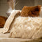 Dutch Decor FIGO - Kussenhoes 30x50 cm - Irish Cream - beige - met rits - zonder binnenkussen