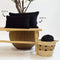 Dutch Decor FINN - Kussenhoes 40x60 cm - velvet - effen kleur - Raven - zwart - met rits - zonder binnenkussen
