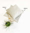 Dutch Decor FINN - Sierkussen 60x60 cm - velvet - effen kleur - Pumice Stone - beige - Inclusief binnenkussen