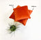 Dutch Decor FINN - Sierkussen 60x60 cm - velvet - effen kleur - Potters Clay - oranje - Inclusief binnenkussen
