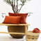Dutch Decor FINN - Sierkussen velvet 40x60 cm - Potters Clay - oranje - Inclusief binnenkussen