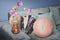 Dutch Decor - KAJA - Sierkussen rond velvet 40 cm - Muted Clay - roze