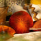 Dutch Decor - KAJA - Sierkussen rond velvet 40 cm - Potters Clay - oranje