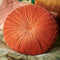 Dutch Decor - KAJA - Sierkussen rond velvet 40 cm - Potters Clay - oranje