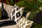 Dutch Decor RICO - Kussenhoes 30x50 cm Olive Branch - groen - met rits - zonder binnenkussen