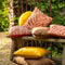 Dutch Decor - SAMUEL - Buitenkussen 45x45 cm - outdoor - waterafstotend en uv-bestendig - bladprint - Potters Clay - steenrood