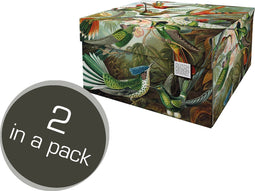 Dutch Design Brand - Dutch Design Storage Box Medium - Opbergdoos - Opbergbox - Bewaardoos - Planten, Jungle, Kolibries - Art of Nature