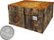 Dutch Design Brand - Dutch Design Storage Box Medium - Opbergdoos - Opbergbox - Bewaardoos - Boomstam - Natuur - Bos - Tree Trunk