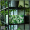 Dutch Design Brand - Dutch Design Storage Box - Opberdoos - Opbergbox - Bewaardoos - Groene bladeren - Green Leaves