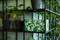 Dutch Design Brand - Dutch Design Storage Box - Opberdoos - Opbergbox - Bewaardoos - Groene bladeren - Green Leaves