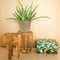 Dutch Design Brand - Dutch Design Storage Box - Opberdoos - Opbergbox - Bewaardoos - Groene bladeren - Green Leaves