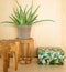 Dutch Design Brand - Dutch Design Storage Box - Opberdoos - Opbergbox - Bewaardoos - Groene bladeren - Green Leaves