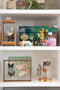 Dutch Design Brand - Dutch Design Storage Box - Opbergdoos - Oceaan - Vissen - Schildpad - Zeeleven - Coral Reef