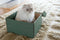 Dutch Design Brand - Dutch Design Storage Box - Opbergdoos - Opbergbox - Bewaardoos - Ginkgo Biloba - Bladeren - Gorgeous Ginkgo