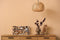 Dutch Design Brand - Dutch Design Storage Box - Opbergdoos - Opbergbox - Bewaardoos - Boomstam - Hout - Wood
