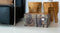 Dutch Design Brand - Dutch Design Storage Box - Opbergdoos - Opbergbox - Bewaardoos - Boomstam - Tree Trunk