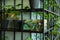 Dutch Design Brand - Dutch Design Storage Box - Opbergdoos - Opbergbox - Bewaardoos - Vogels - Art of Nature
