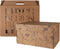 Dutch Design Brand - Dutch Design Storage Box - opbergdoos - Opbergbox - Bewaardoos - Berenklauw - Heracleum