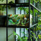 Dutch Design Brand - Dutch Design Storage Box - Opbergdoos - Opbergbox - Bewaardoos - Vogels - Art of Nature