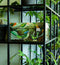 Dutch Design Brand - Dutch Design Storage Box - Opbergdoos - Opbergbox - Bewaardoos - Vogels - Art of Nature