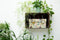 Dutch Design Brand - Dutch Design Storage Box - Opbergdoos - Opbergbox - Bewaardoos - Bloemen, Kolibrie, Vlinders - Botanical
