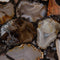 Dutchbone Agate Bijzettafel Rond Agaat Steen - Zwart