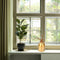 Dutchlander - Plantensproeier goud- plantenspuit