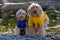 Dutchwide - Hondenjas - Regenjas Hond - Geel -Maat XXXL