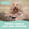 Dutchwide Hondenspeeltje - Eekhoorn - Met Kraak en Piep - Honden - Speelgoed - Knuffel - Intelligentie - Tennisbal - Dog Toy - Hond - Speeltjes