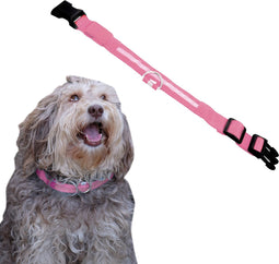 Dutchwide Lichtgevende Halsband Hond - Extra Sterk - L 41 cm tot 52 cm - Hondenhalsband - Klikhalsband - Verstelbaar - Reflecterend