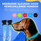 Dutchwide Lichtgevende Halsband Hond - Extra Sterk - L 41 cm tot 52 cm - Hondenhalsband - Klikhalsband - Verstelbaar - Reflecterend