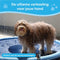 Dutchwide Ø 150cm Hondenzwembad - Met Sproeiers - Anti slip - Hondendouche - Honden - Bad - Water - Speelgoed - Fontein - Buiten - Hond - Zwembad