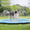 Dutchwide Ø 150cm Hondenzwembad - Met Sproeiers - Anti slip - Hondendouche - Honden - Bad - Water - Speelgoed - Fontein - Buiten - Hond - Zwembad