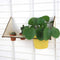 Duurzaam wandrek FENCY - planten plank 3 gaten Geen