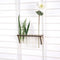 Duurzaam wandrek FENCY - planten plank reageerbuisjes (19x4 cm)