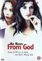 DVD No News From God