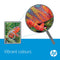 HP 302XL - Inktcartridge - Hoge Capaciteit - Kleur (F6U67AE)