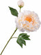 Silk-ka Kunstbloemen Zijden Bloemen Pioen Roos Tak Crème Wit 79 cm 149239